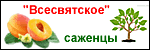 Всесвятское